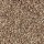 Horizon Carpet: Nature's Luxury I Worn Leather